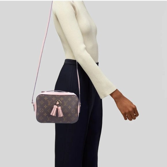 Louis Vuitton 2019 Monogram Saintonge Bag Pink and Brown - Picture 11 of 14